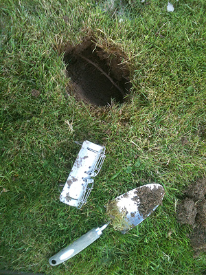 A mole trap about to be placed in a tunnel.