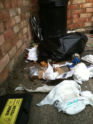 People not using bins will attract rats and foxes.