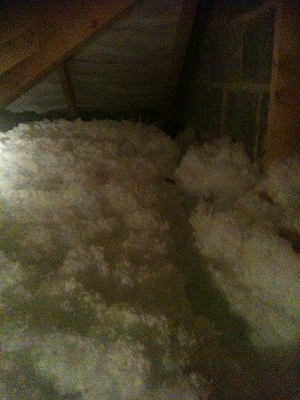 Rat trail through loft insulation.