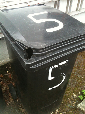 Rat and squirrel damage to wheelie bin.