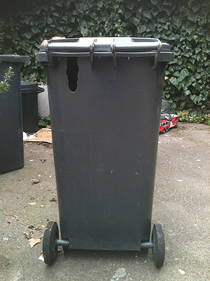 Rat damage to wheelie bin.