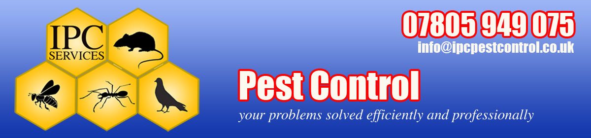 IPC Pest Control Services – Problems solved efficiently and effectively